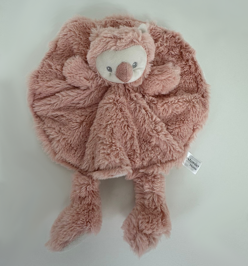 Gepersonaliseerde doudou of knuffeldoekje