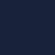 navy-1555
