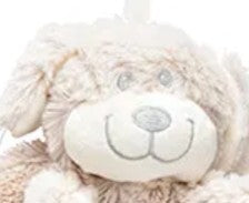 Hond
